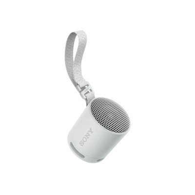 Sony SRS-XB100/H