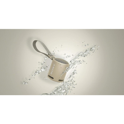 Sony SRS-XB13 Taupe (SRSXB13C)