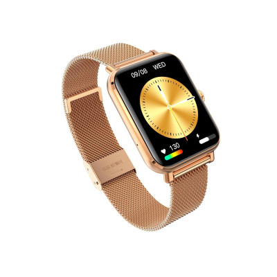 Garett GRC Classic Gold steel (5904238484821)
