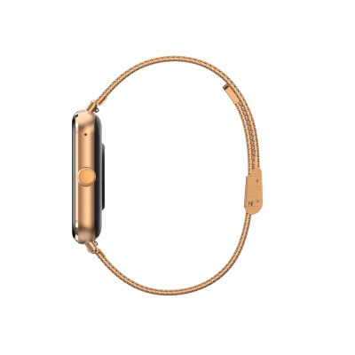Garett GRC Classic Gold steel (5904238484821)