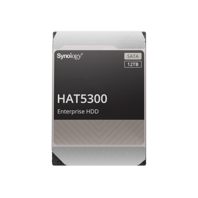 Synology HAT5300 12 TB (HAT5300-12T)