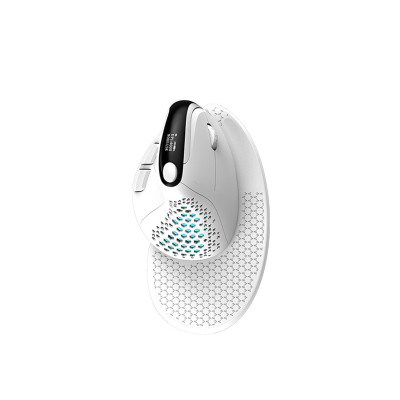 Delux M618XSD Vertical Mouse BT+2.4G RGB (white)
