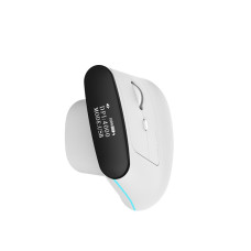 Delux MV6 DB BT+2.4G Vertical Mouse (White)
