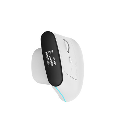 Delux MV6 DB BT+2.4G Vertical Mouse (White)