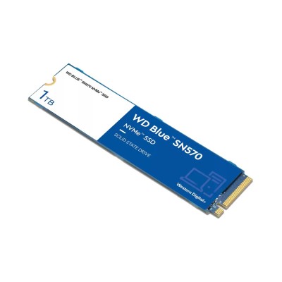 WD Blue SN570 1 TB (WDS100T3B0C)