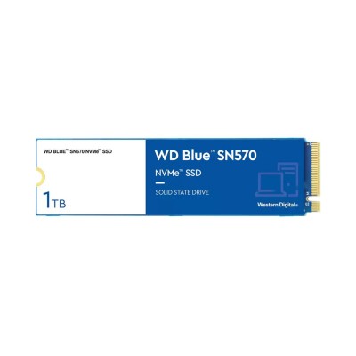 WD Blue SN570 1 TB (WDS100T3B0C)