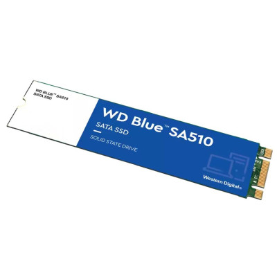 WD Blue SA510 M.2 1 TB (WDS100T3B0B)