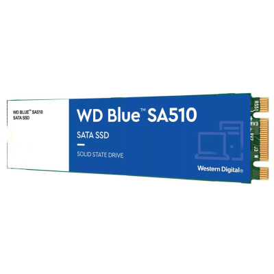 WD Blue SA510 M.2 1 TB (WDS100T3B0B)