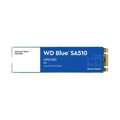 WD Blue SA510 M.2 1 TB (WDS100T3B0B)