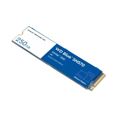 WD Blue SN570 250 GB (WDS250G3B0C)