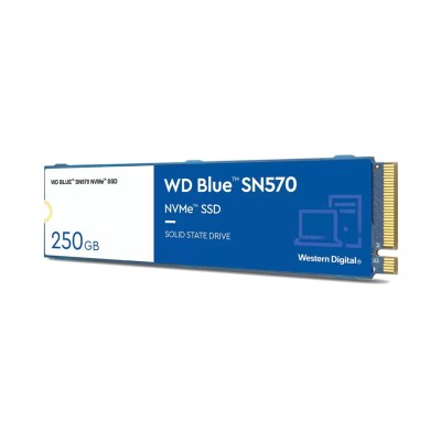 WD Blue SN570 250 GB (WDS250G3B0C)