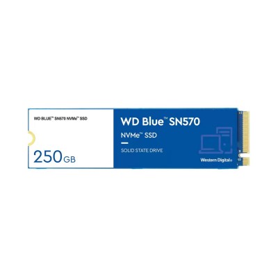 WD Blue SN570 250 GB (WDS250G3B0C)