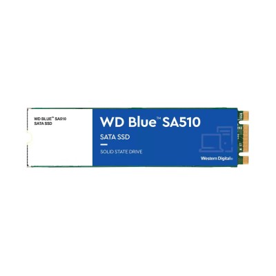 WD Blue SA510 M.2 250 GB (WDS250G3B0B)