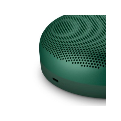 Bang & Olufsen Beosound A1 2nd Gen Green