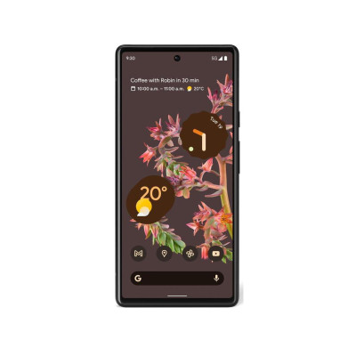 Google Pixel 6 8/128GB Stormy Black