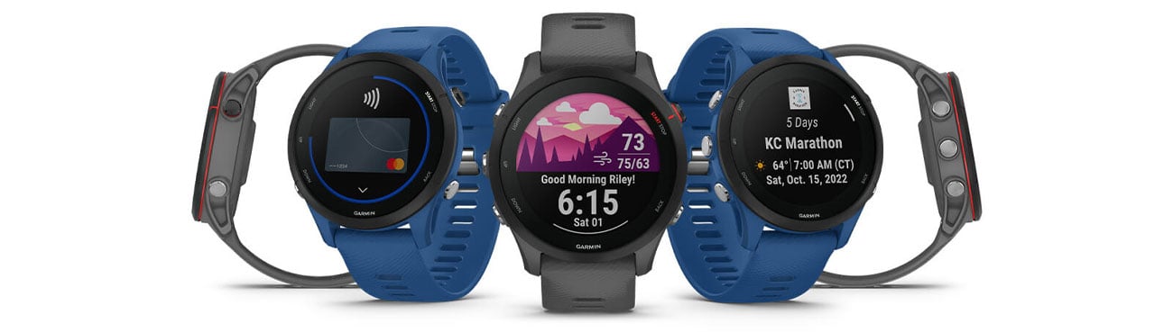 Спортивний годинник Garmin Forerunner 255, сірий