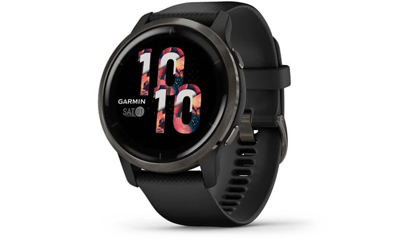 Розумний годинник Garmin Venu 2 Blue Grey