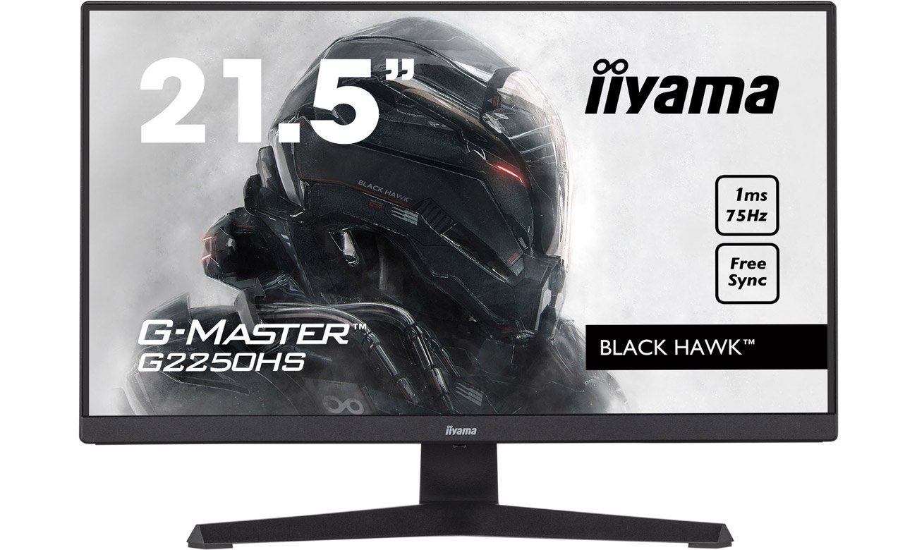 iiyama G-Master G2250HS-B1 вид спереди