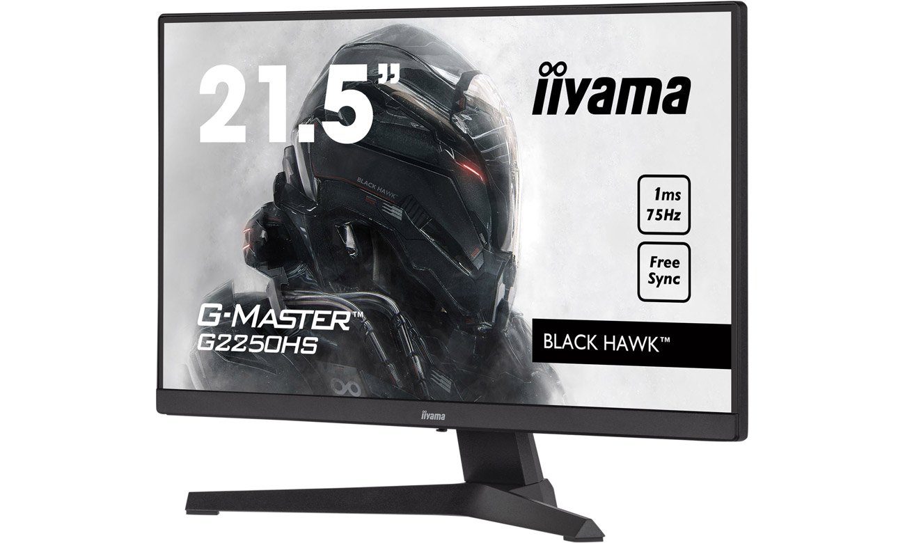 Передний угол iiyama G-Master G2250HS-B1