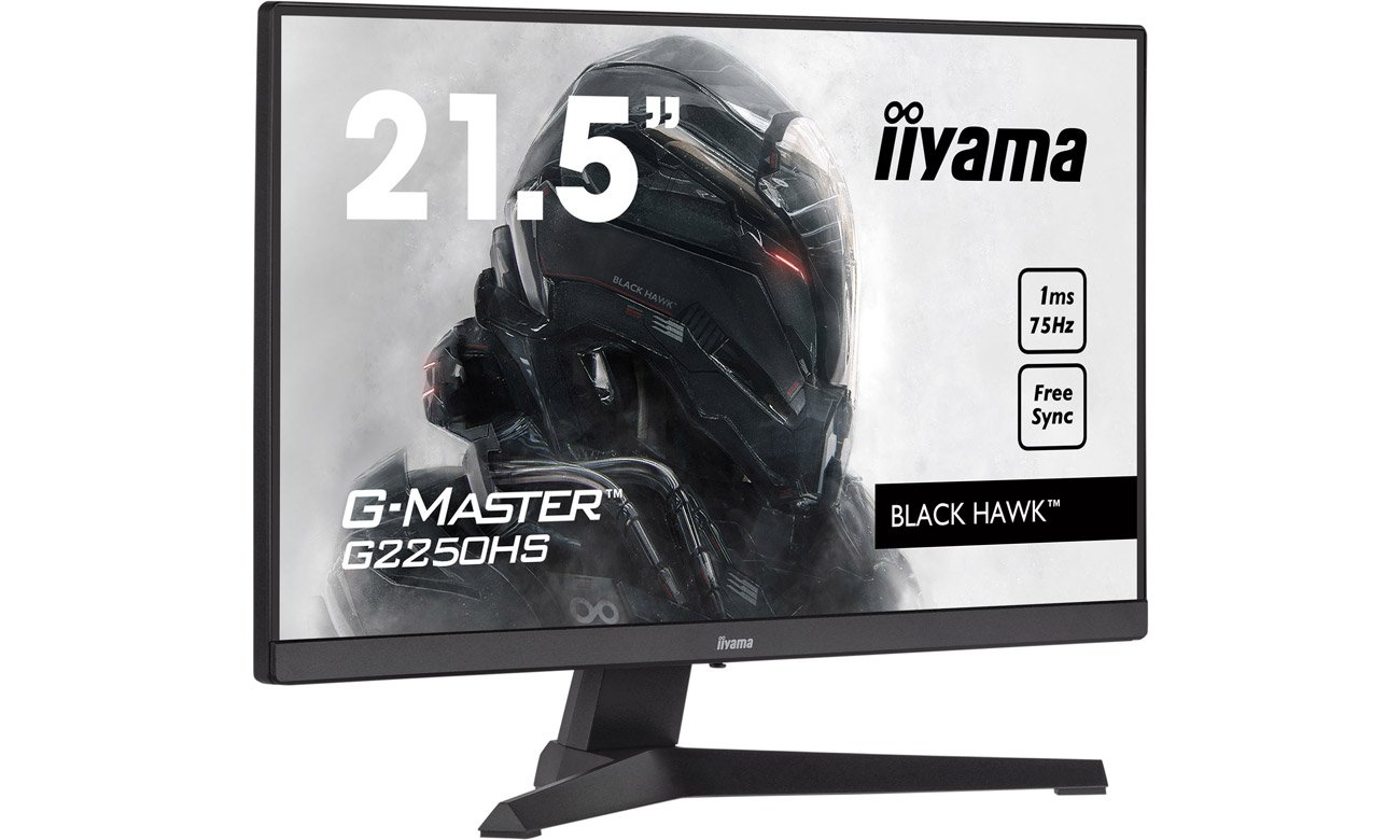 Передний угол iiyama G-Master G2250HS-B1