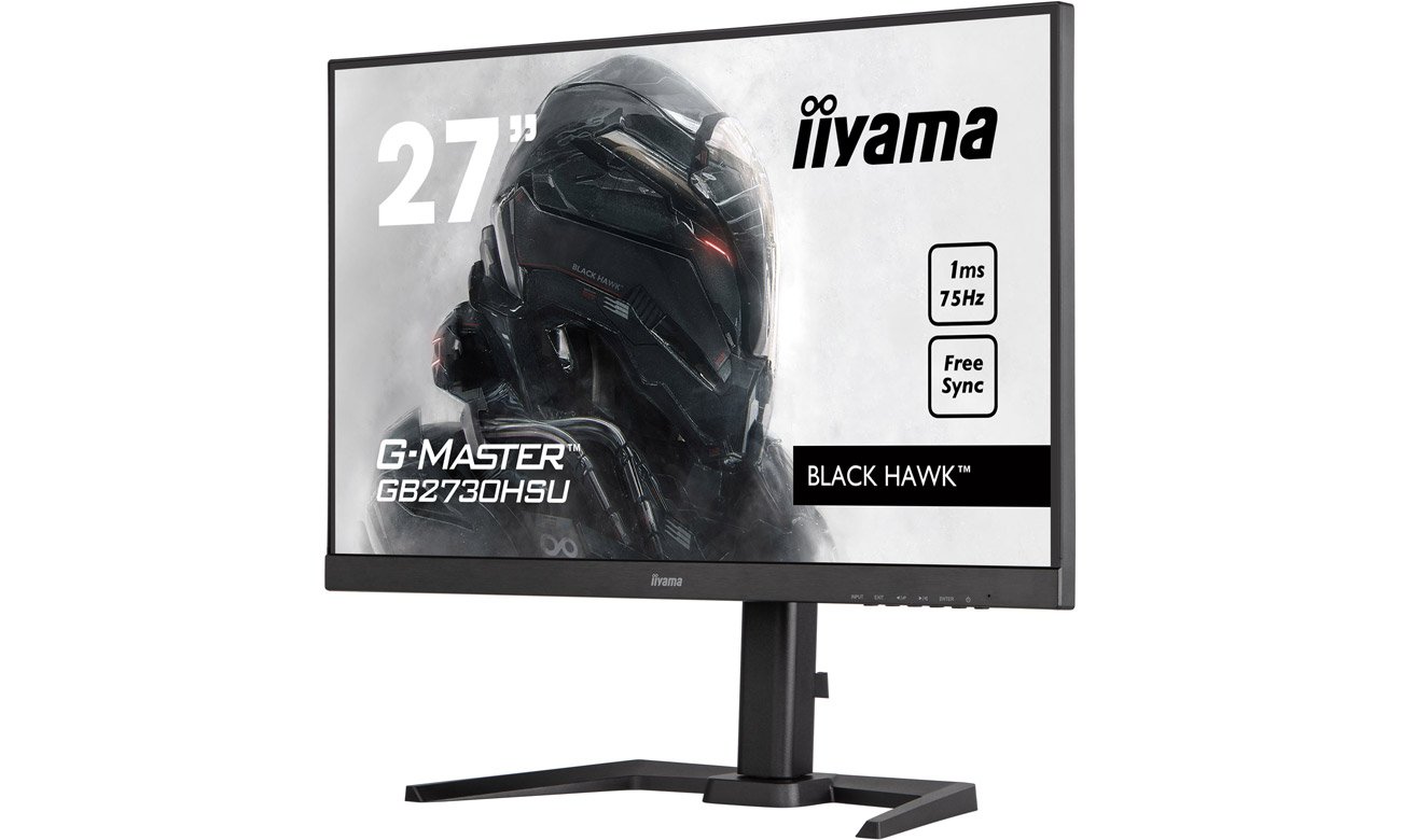 iiyama G-Master G2450HS-B1 передний угол обзора