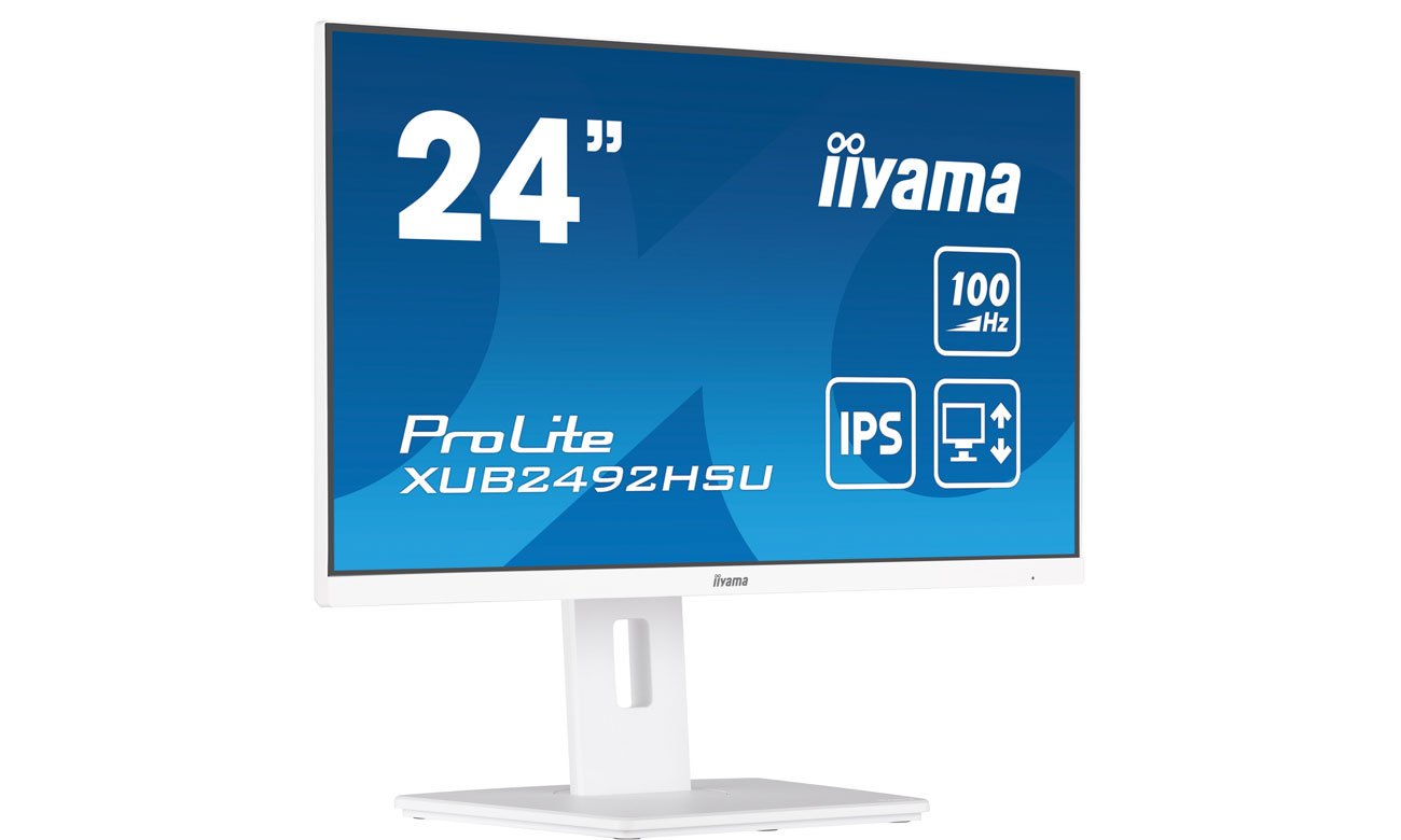 Монитор iiyama XUB2492HSU-W6