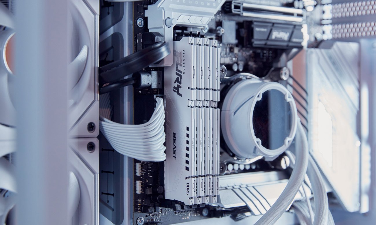 Внешний вид Kingston Fury Beast White