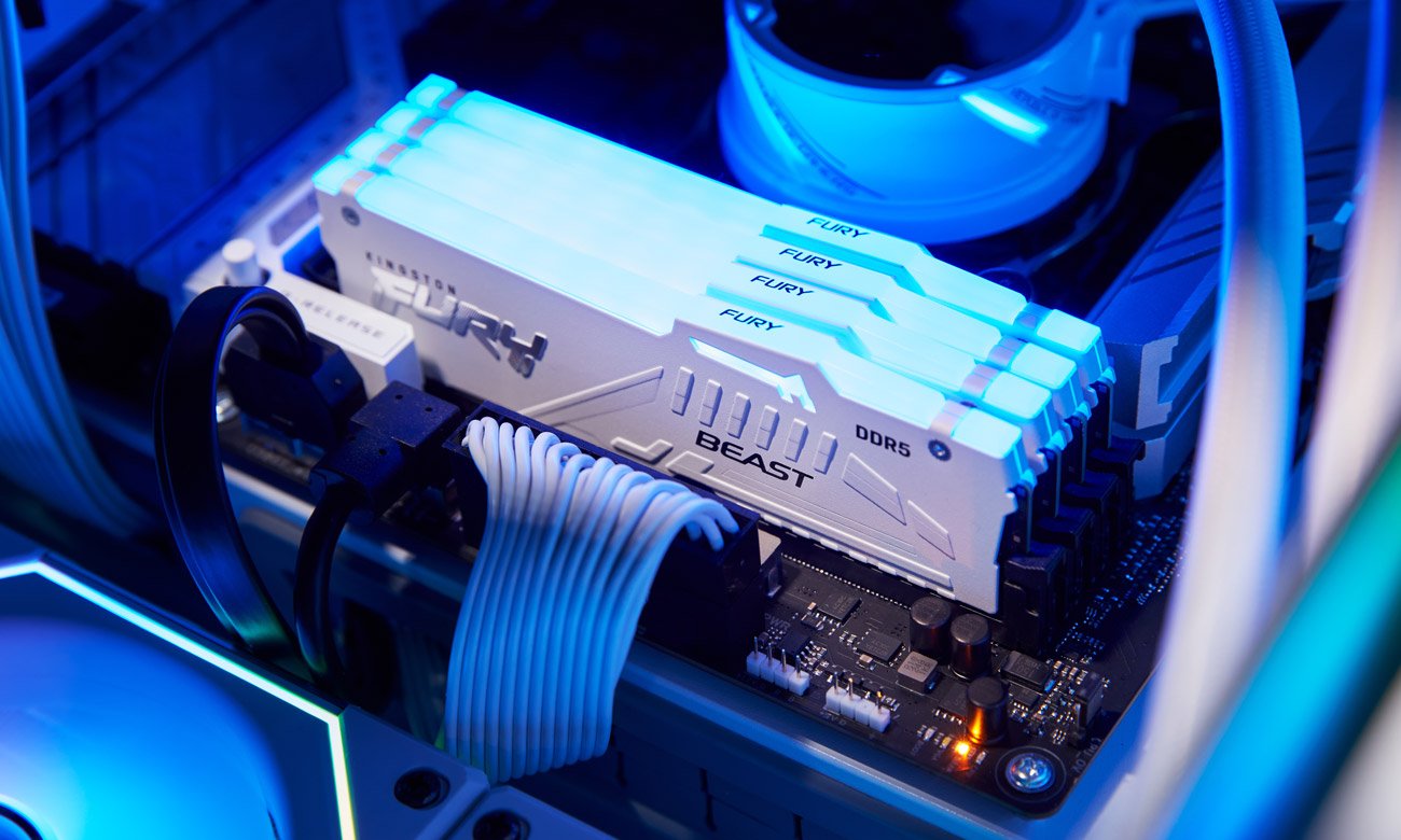 Подсветка Kingston Fury Beast White RGB