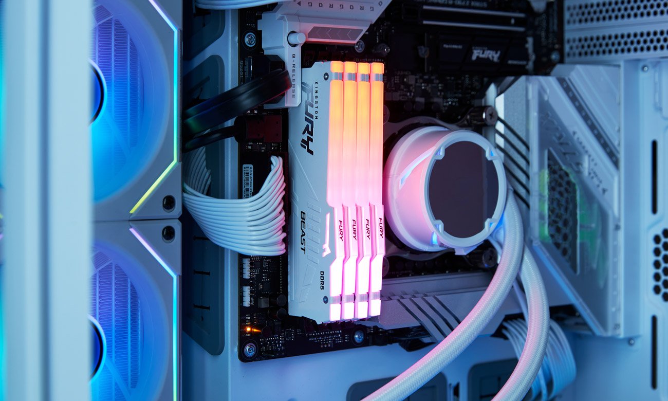 Внешний вид Kingston Fury Beast White RGB