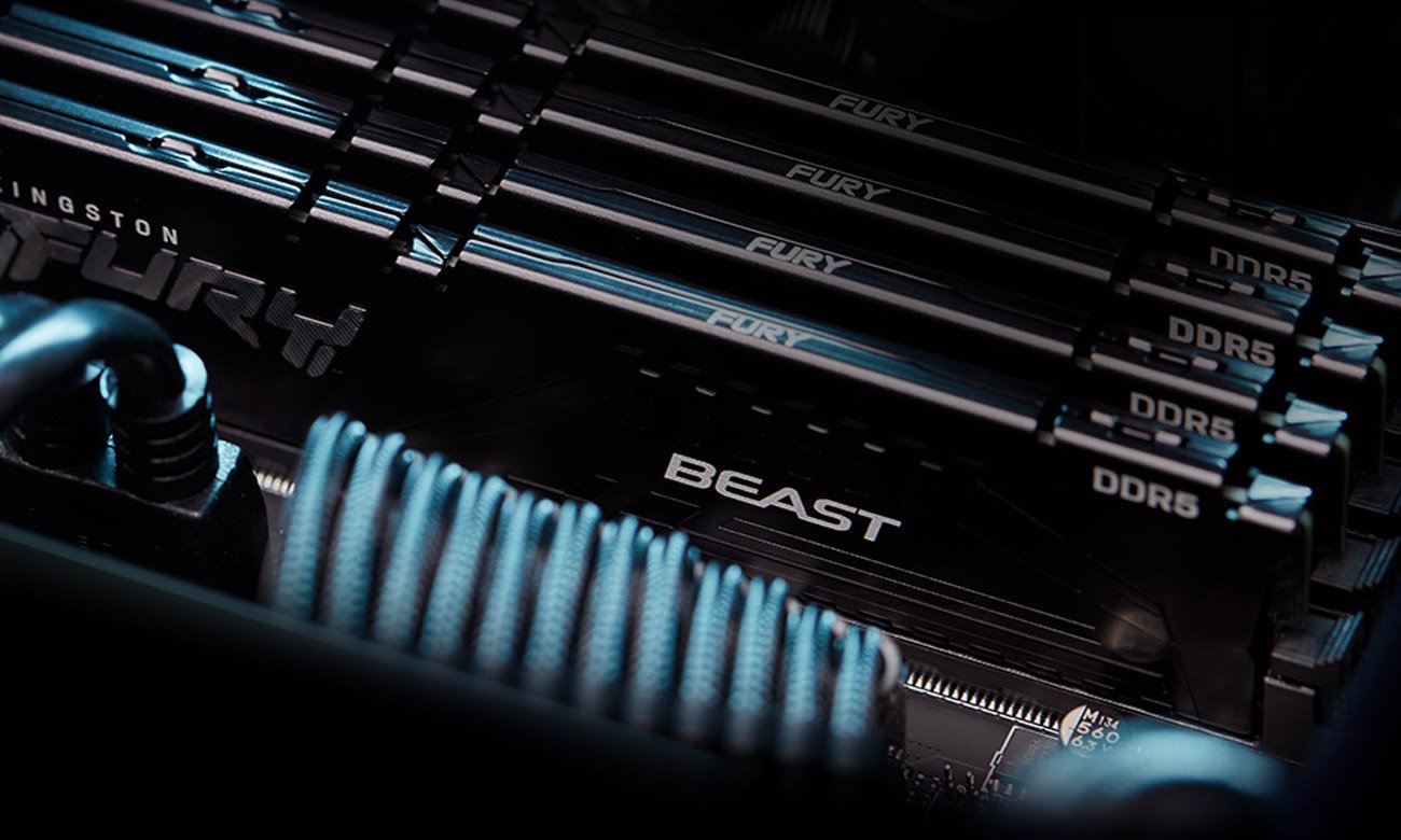 Внешний вид Kingston FURY Beast RGB EXPO