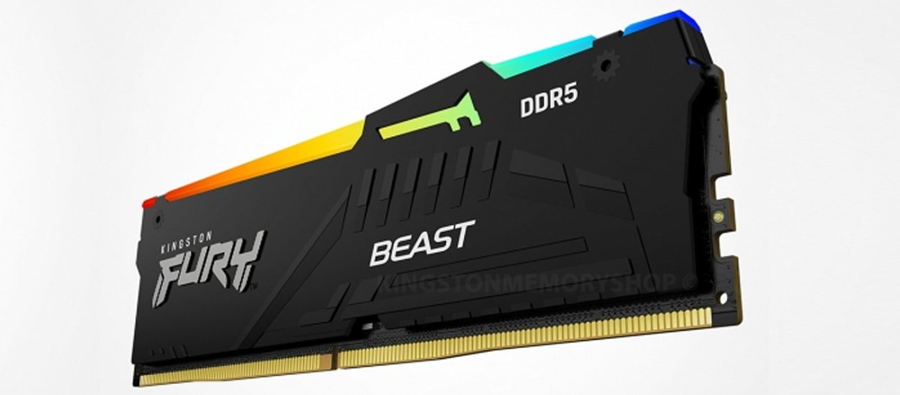 Вид Kingston FURY Beast RGB EXPO