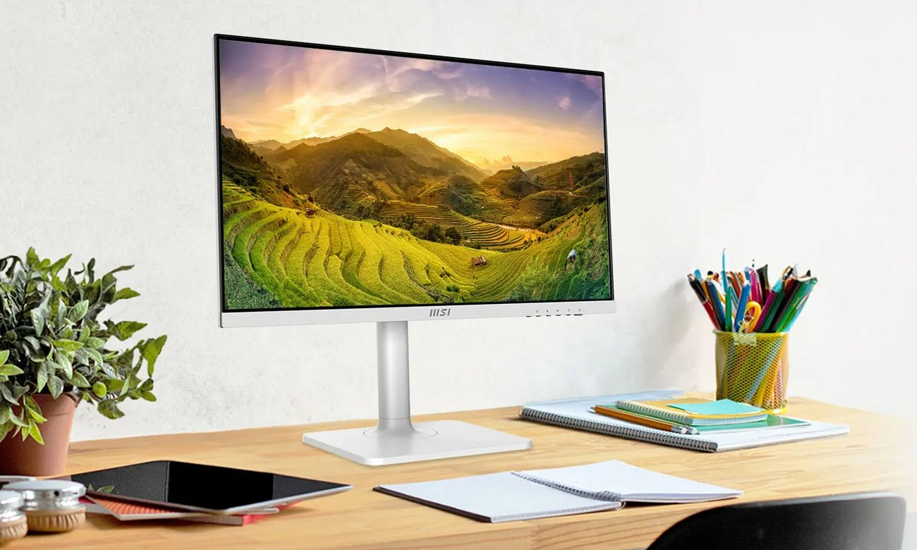 Внешний вид MSI Modern MD2412PW