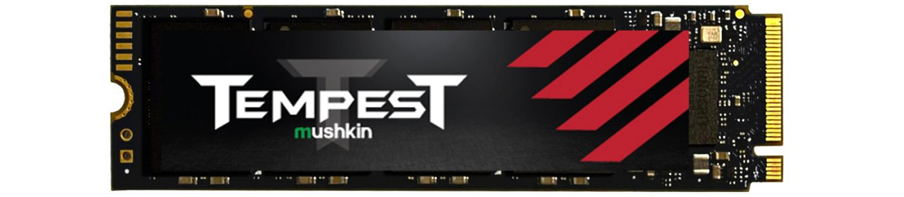 Mushkin Tempest M.2 PCIe NVMe SSD – вид спереди