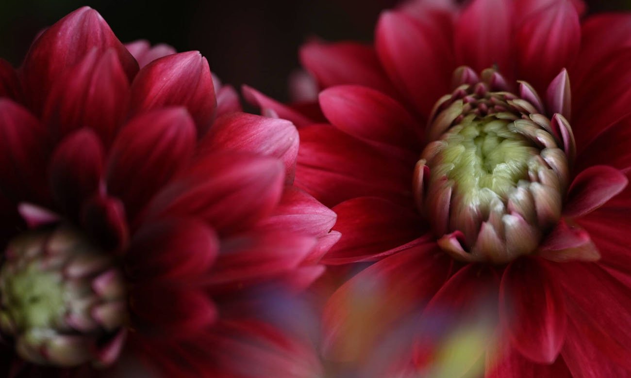 Варіофокальний об’єктив NikonNikkor Z 24-120mm f/4 S