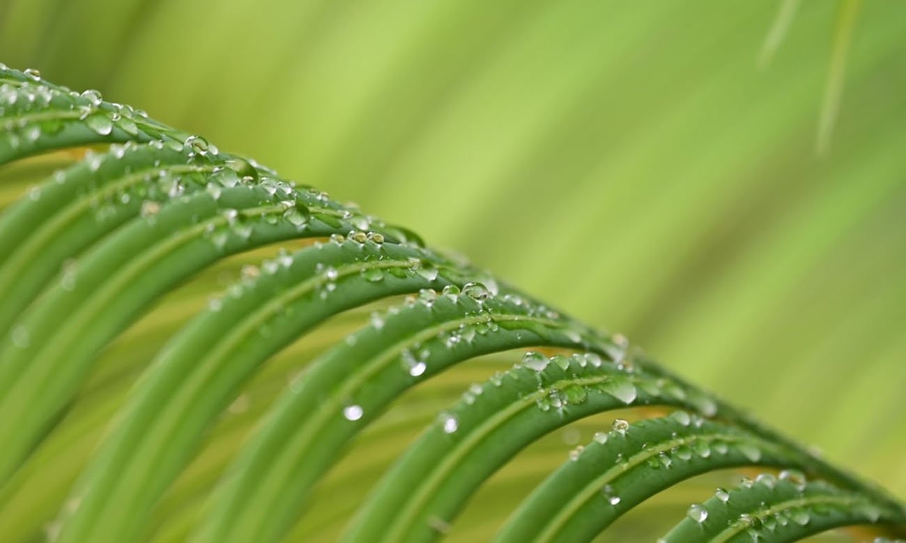 Варіофокальний об’єктив NikonNikkor Z 24-200mm f/4-6.3 VR