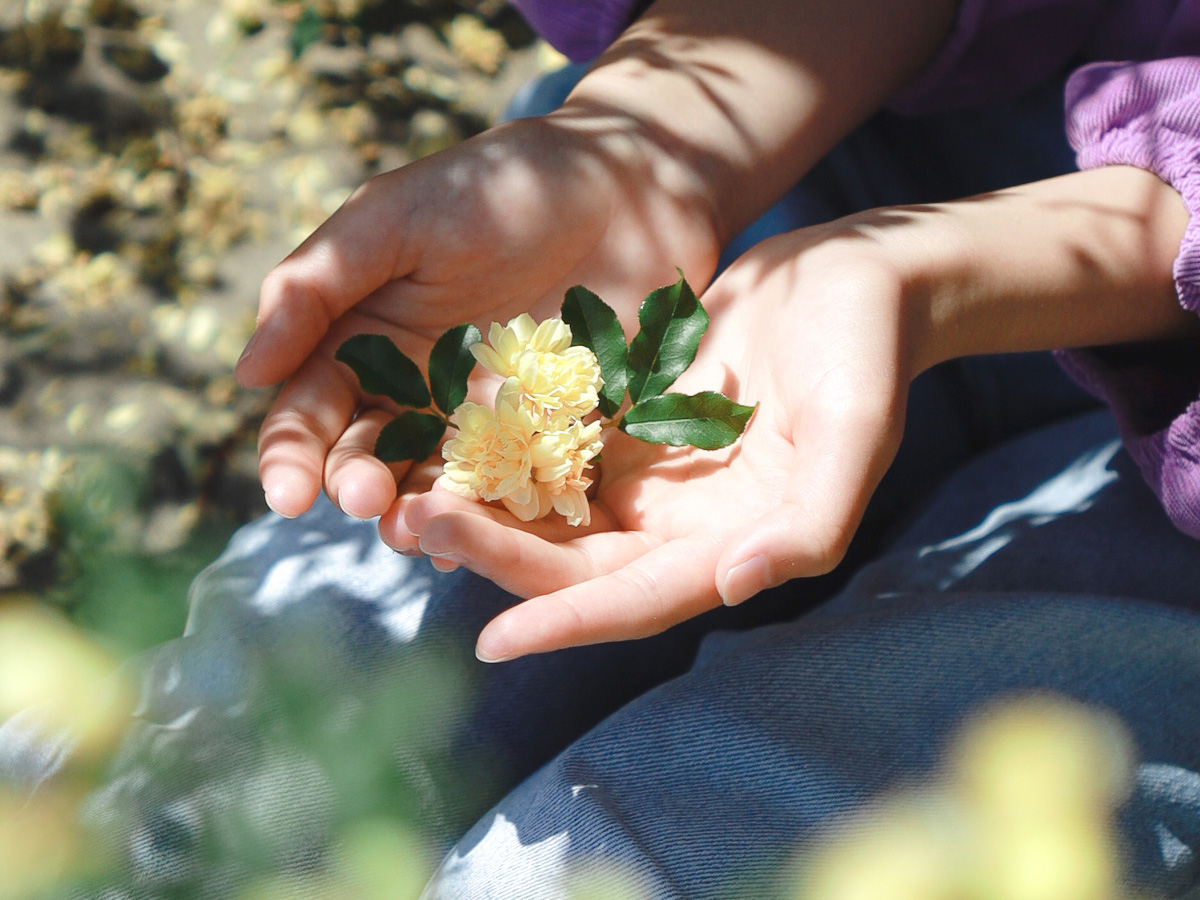 Об’єктив SigmaC 18-50mm f/2.8 DC DN Canon RF з фіксованим фокусом